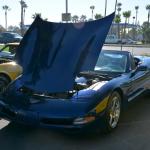 VetsandVettes_0010 (November 09, 2013)